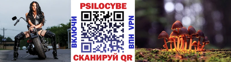 Купить закладки  Волосово  Псилоцибиновые грибы GOLDEN TEACHER 