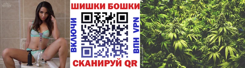 Купить закладки  Волосово  Марихуана SATIVA & INDICA 
